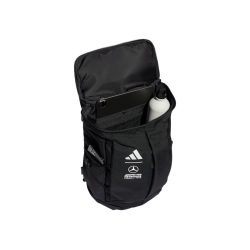 Mercedes-AMG F1 Rygs�k