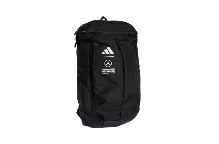 Mercedes-AMG F1 Rygs�k