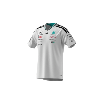 Mercedes-AMG F1 T-shirt Mand