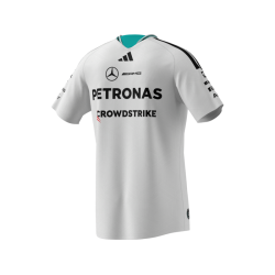 Mercedes-AMG F1 T-shirt Mand