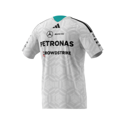 Mercedes-AMG F1 T-shirt Mand
