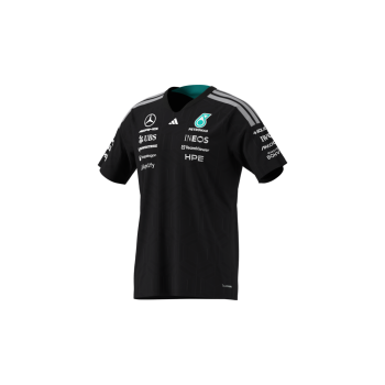 Mercedes-AMG F1 T-shirt Mand