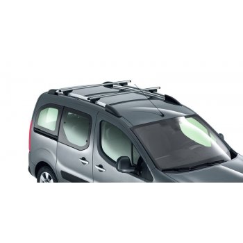 Tagbjlest til Berlingo 08-18 med rails