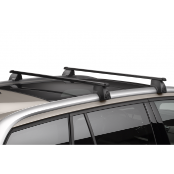 Tagbjlest m. rails Grand C4 Picasso/spacetourer 2013 - 2020