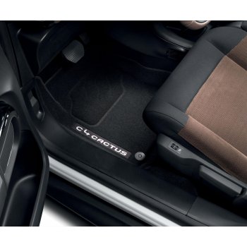 Velourmttest C4 Cactus 2018 - 2020